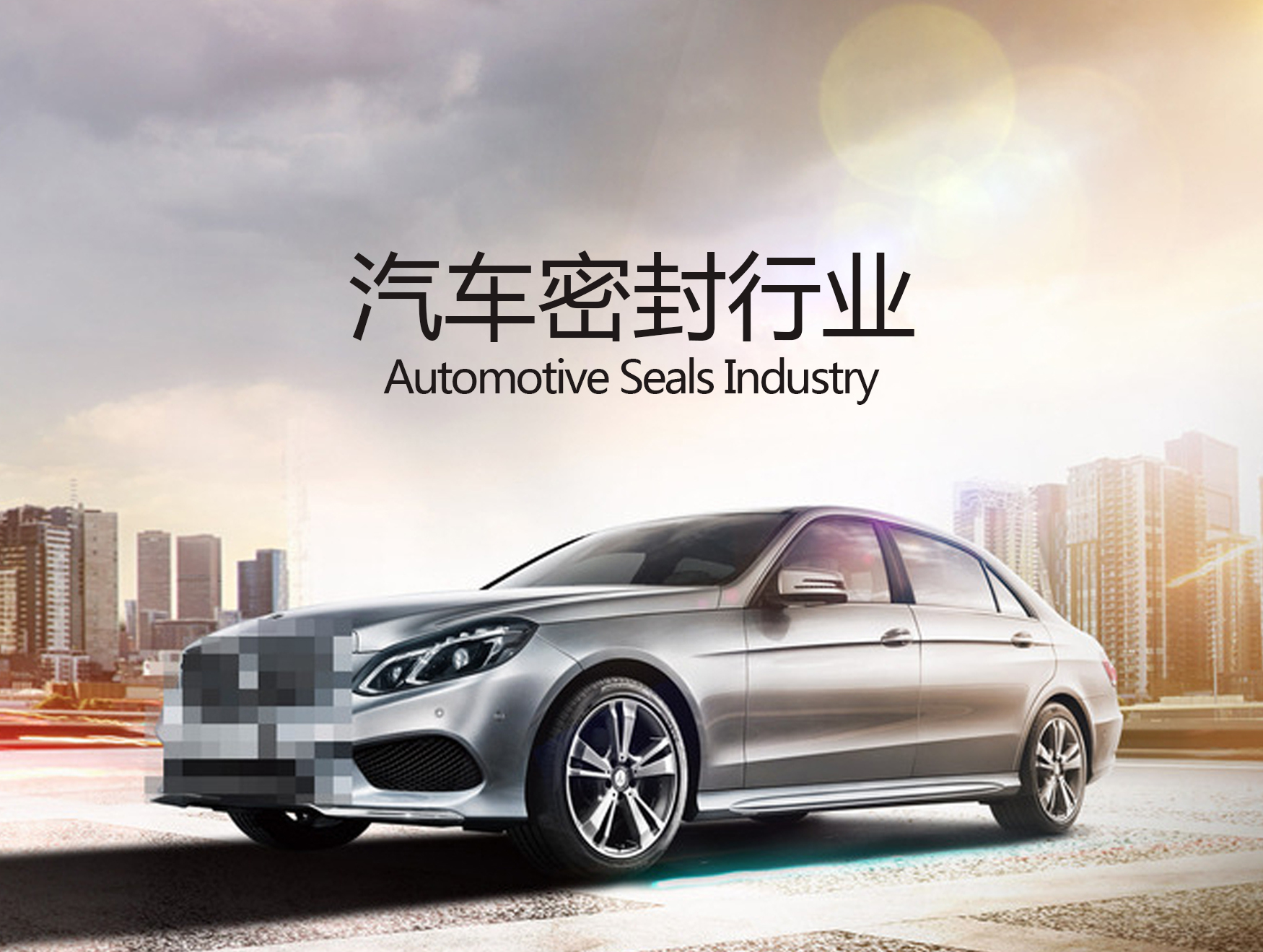 汽車(chē)行業(yè)專用密封件