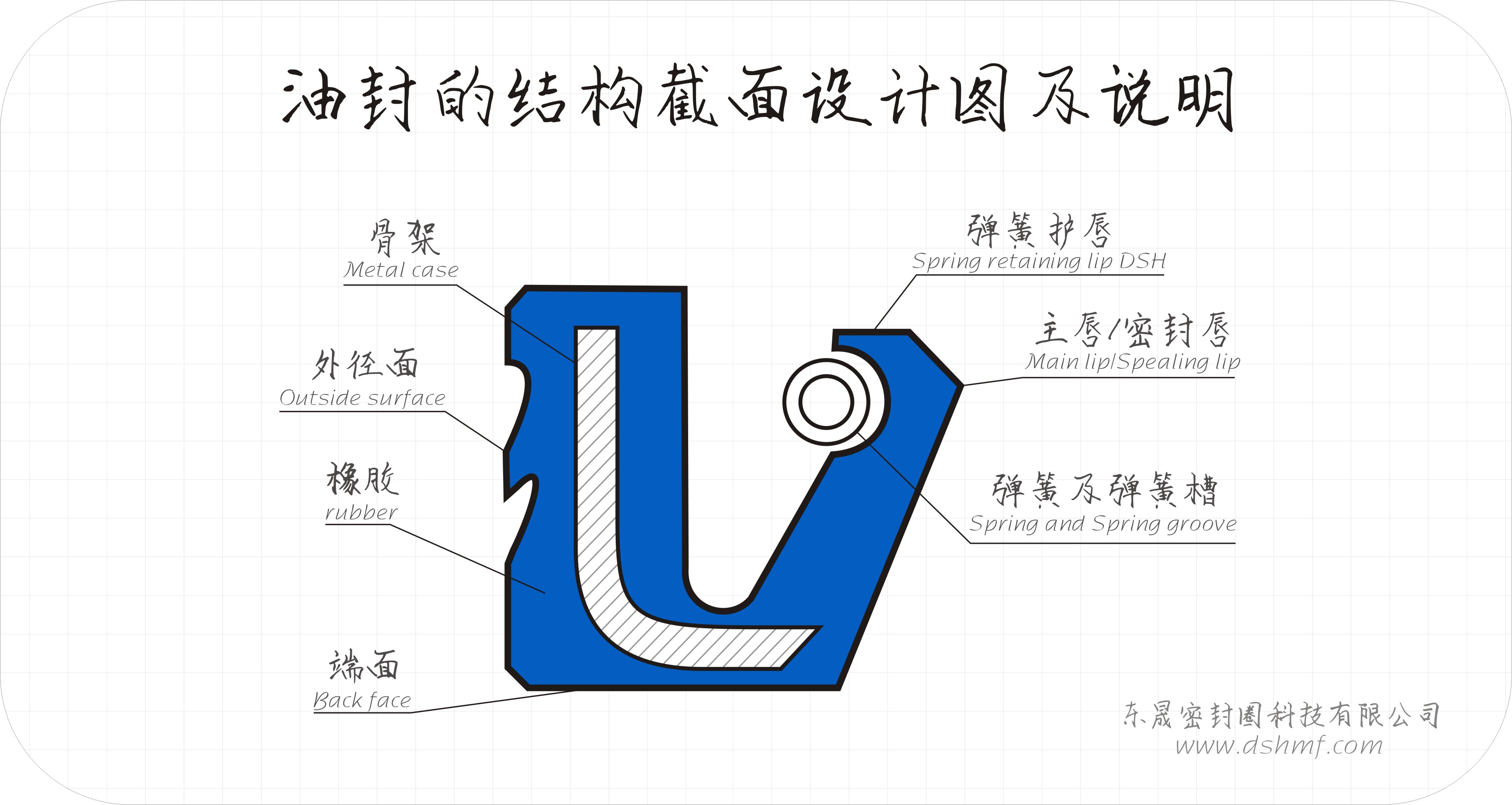 油封的結(jié)構(gòu)截面設(shè)計(jì)圖及說明