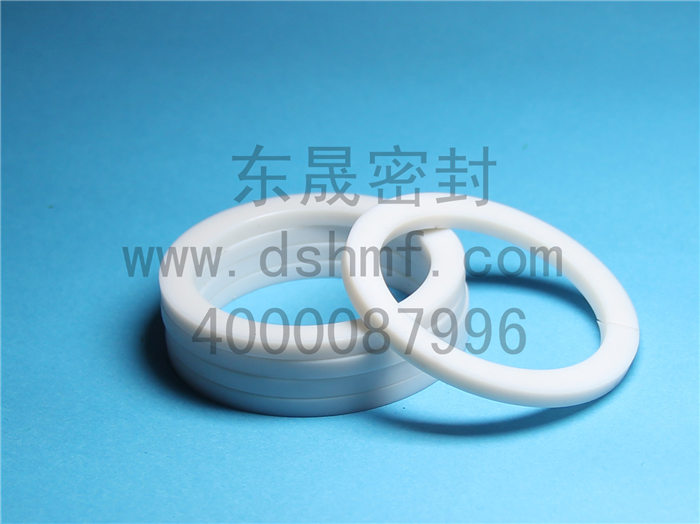 輔助密封件產(chǎn)品，擋圈
