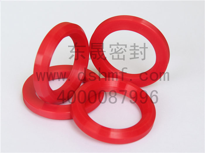 V型圈，密封件產(chǎn)品