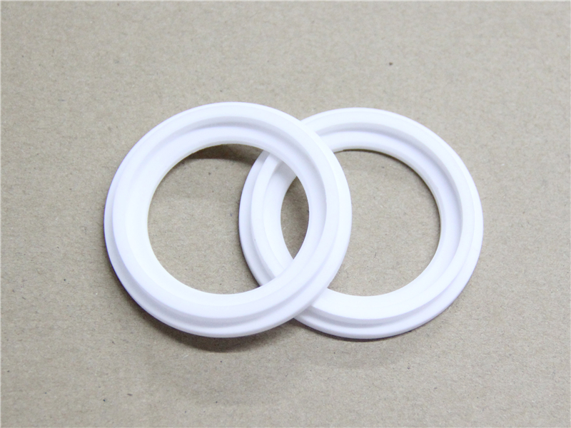硬密封件，陶瓷密封件，產(chǎn)品