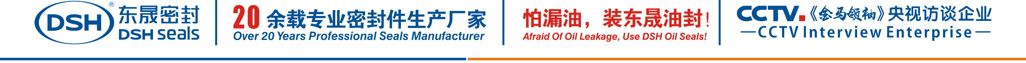 怕漏油，裝東晟油封！